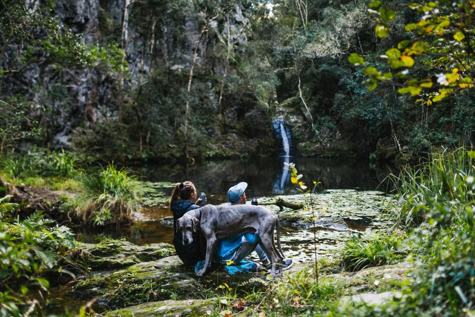 فيلا Moonshine On Whiskey Creek The Crags المظهر الخارجي الصورة
