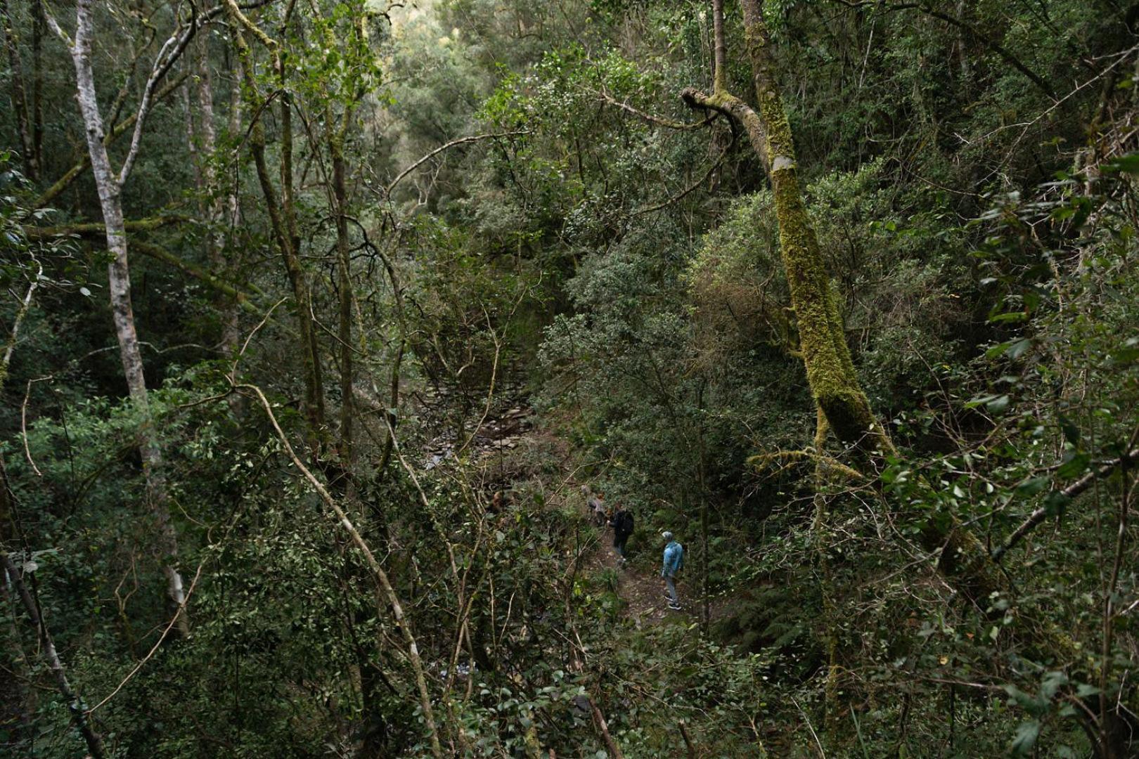 فيلا Moonshine On Whiskey Creek The Crags المظهر الخارجي الصورة
