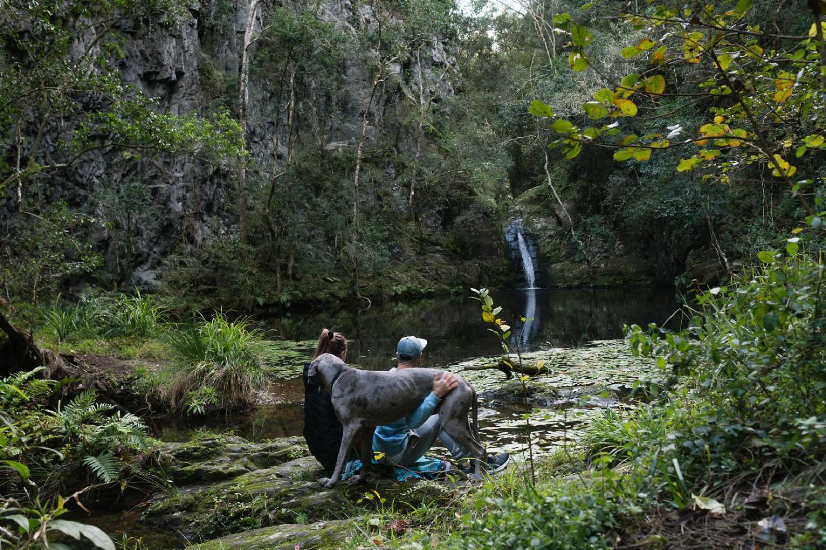 فيلا Moonshine On Whiskey Creek The Crags المظهر الخارجي الصورة