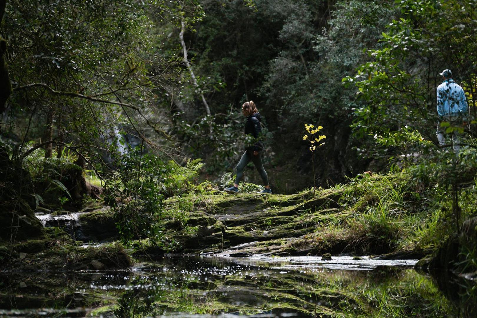 فيلا Moonshine On Whiskey Creek The Crags المظهر الخارجي الصورة