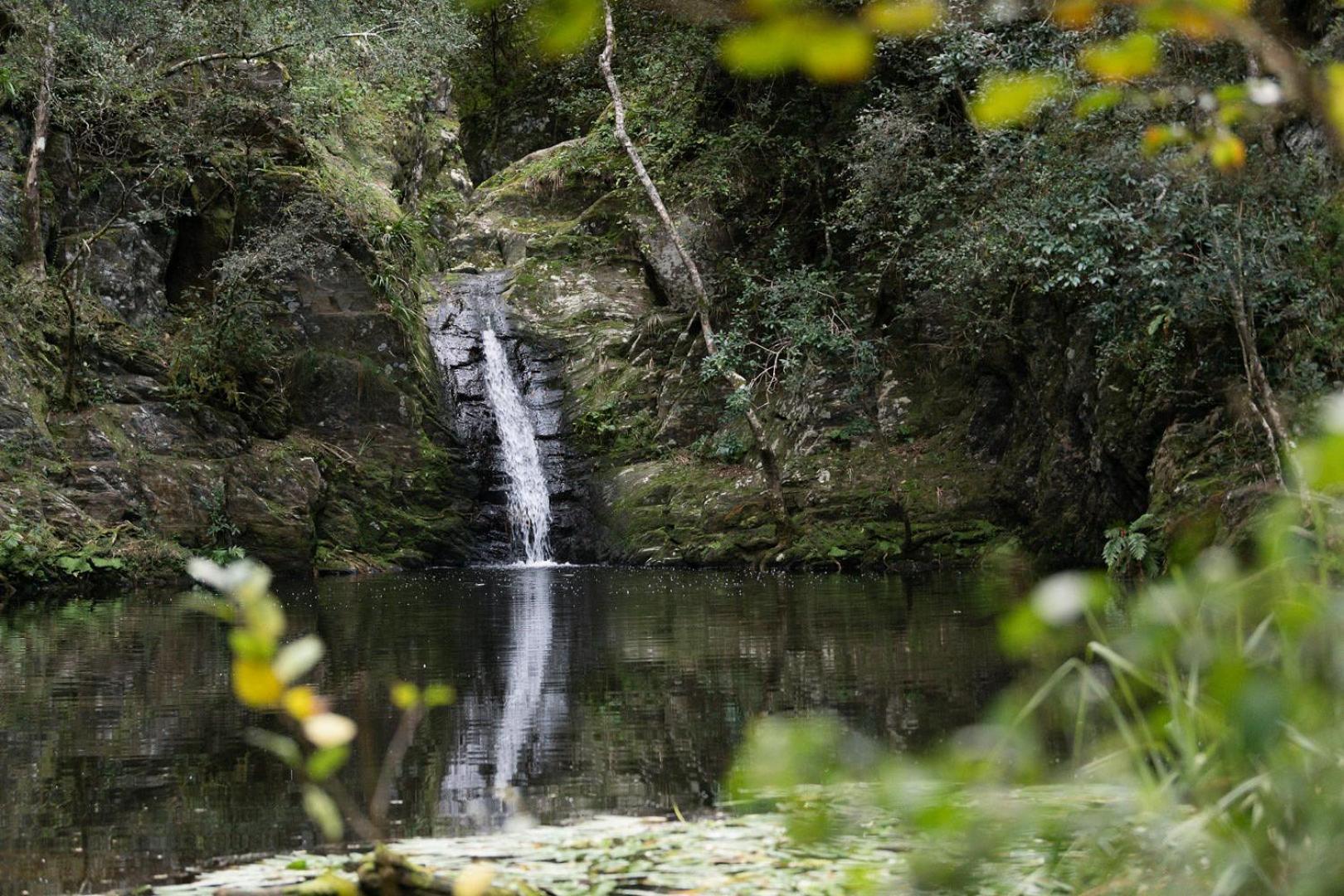 فيلا Moonshine On Whiskey Creek The Crags المظهر الخارجي الصورة